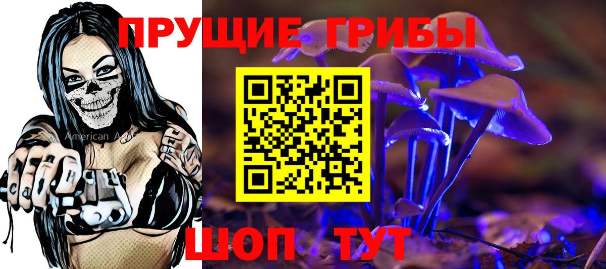 Ревда  Псилоцибиновые грибы GOLDEN TEACHER  Вход с VPN  Псилоцибиновые грибы мицелий 